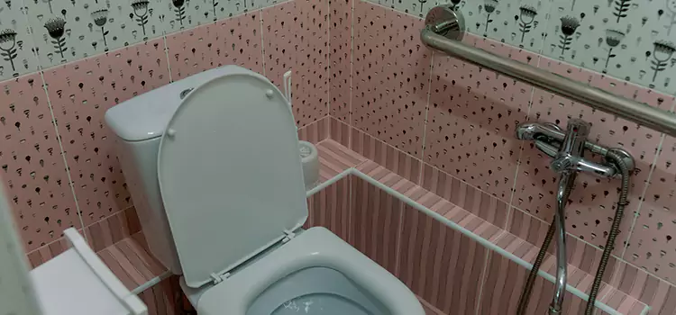 Meeting Diverse Needs With Accessible Restroom Solutions in Linton Hall, VA